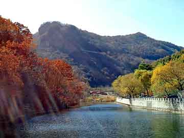 管家婆黑白马报图库，孟村回族自治seo建站